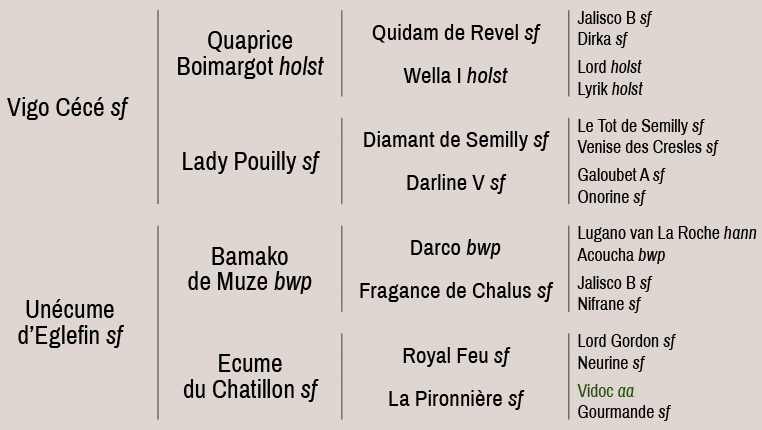 Arbre généalogique