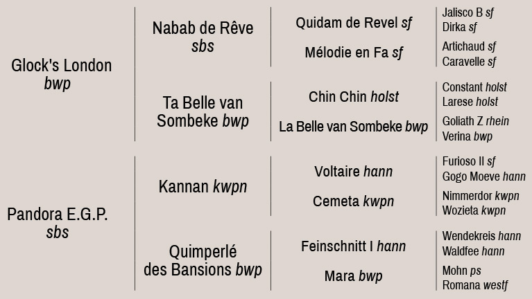 Arbre généalogique