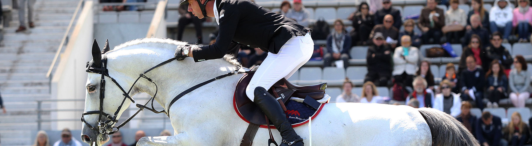 Type de monte et Stud Book Equitechnic