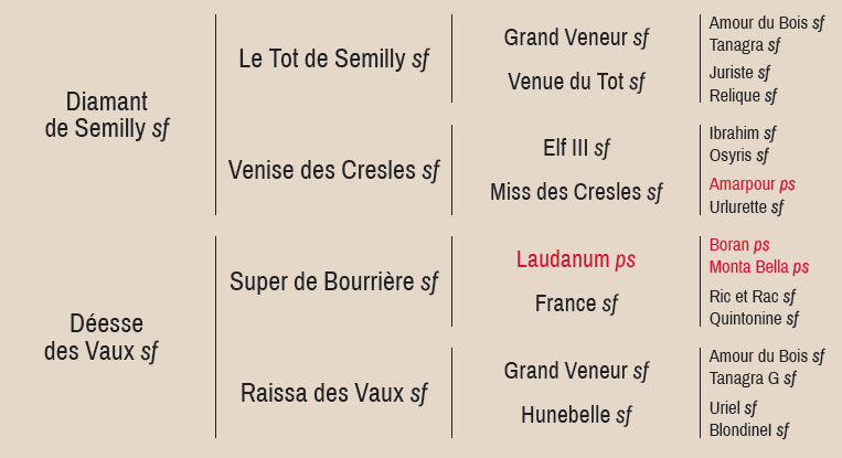 Arbre généalogique