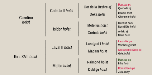 Arbre généalogique