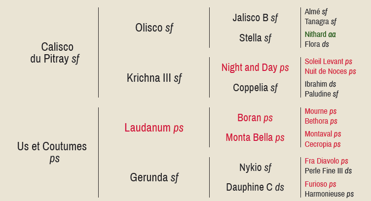 Arbre généalogique